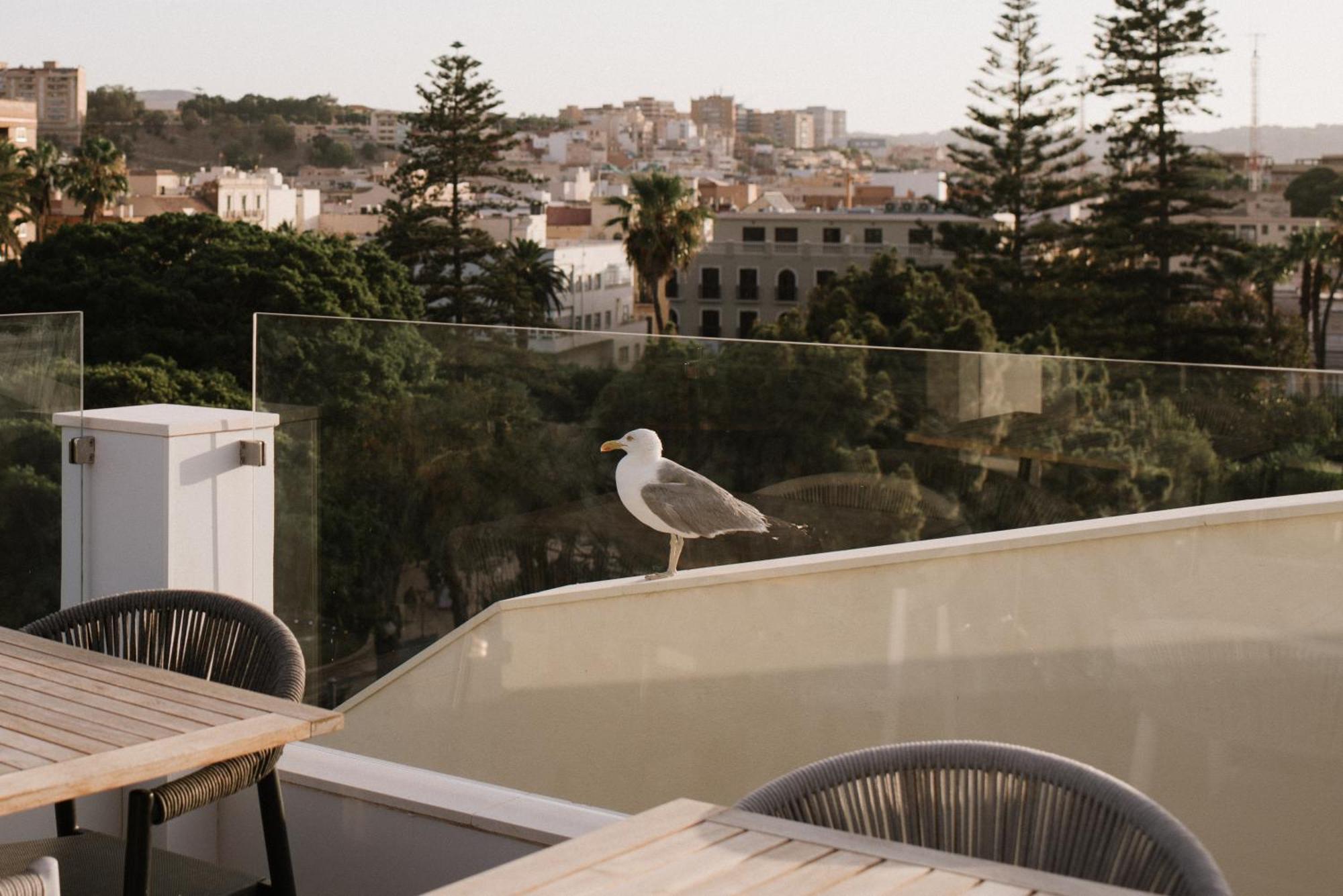 Hotel Melilla Centro Dış mekan fotoğraf